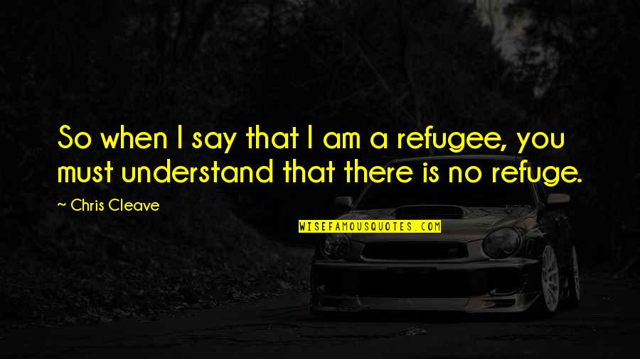 Little Bee Best Quotes By Chris Cleave: So when I say that I am a