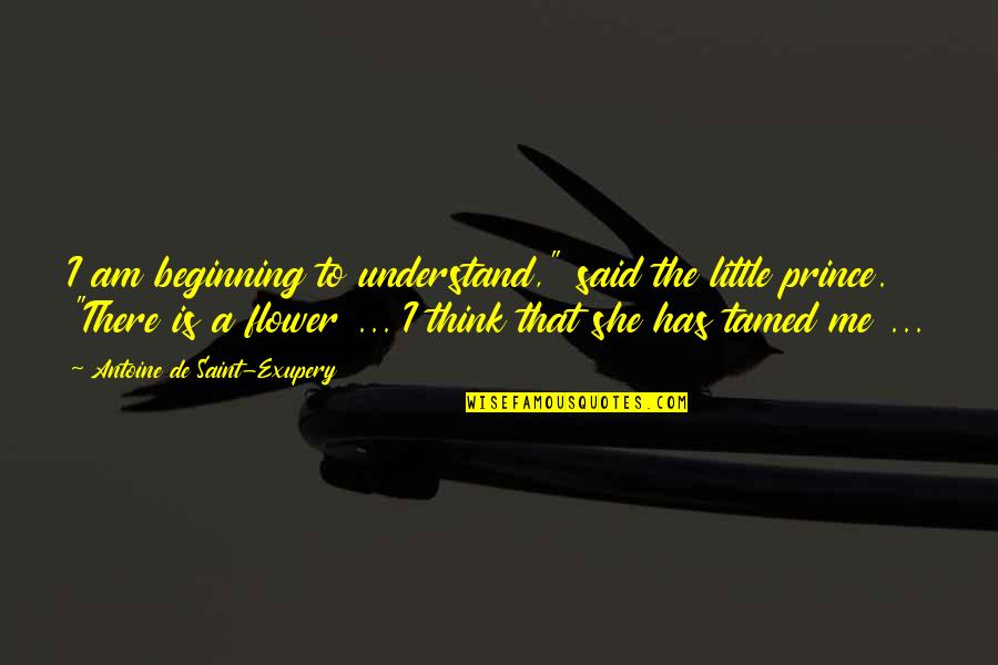 Little Beginning Quotes By Antoine De Saint-Exupery: I am beginning to understand," said the little