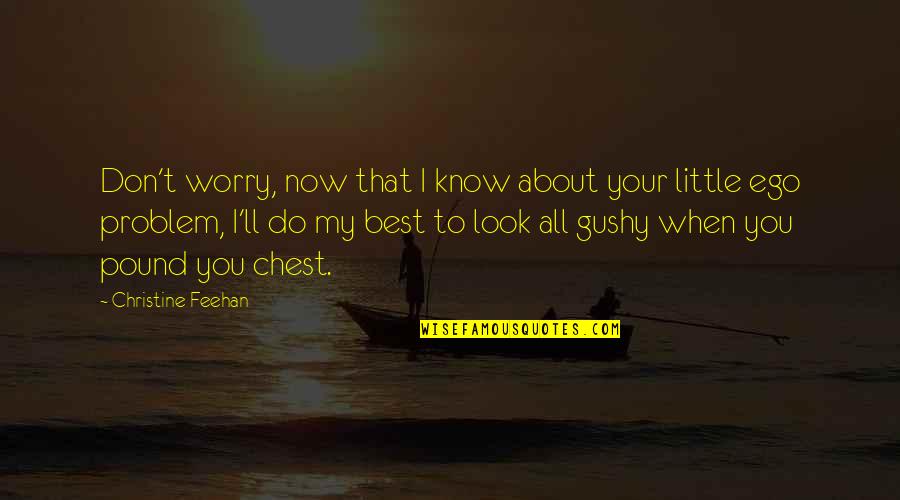 Little Best Quotes By Christine Feehan: Don't worry, now that I know about your