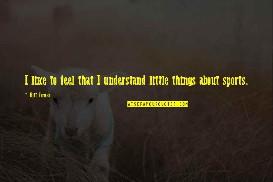 Little Bill Quotes By Bill James: I like to feel that I understand little