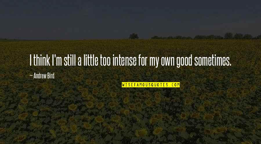Little Bird Quotes By Andrew Bird: I think I'm still a little too intense