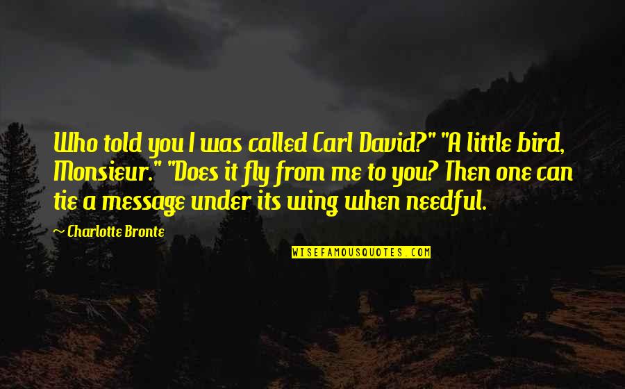 Little Bird Quotes By Charlotte Bronte: Who told you I was called Carl David?"