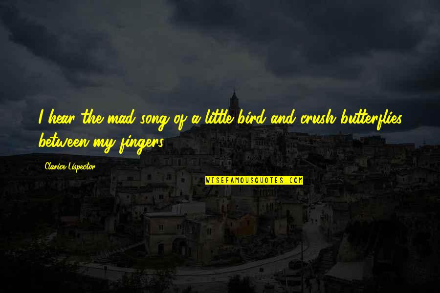 Little Bird Quotes By Clarice Lispector: I hear the mad song of a little