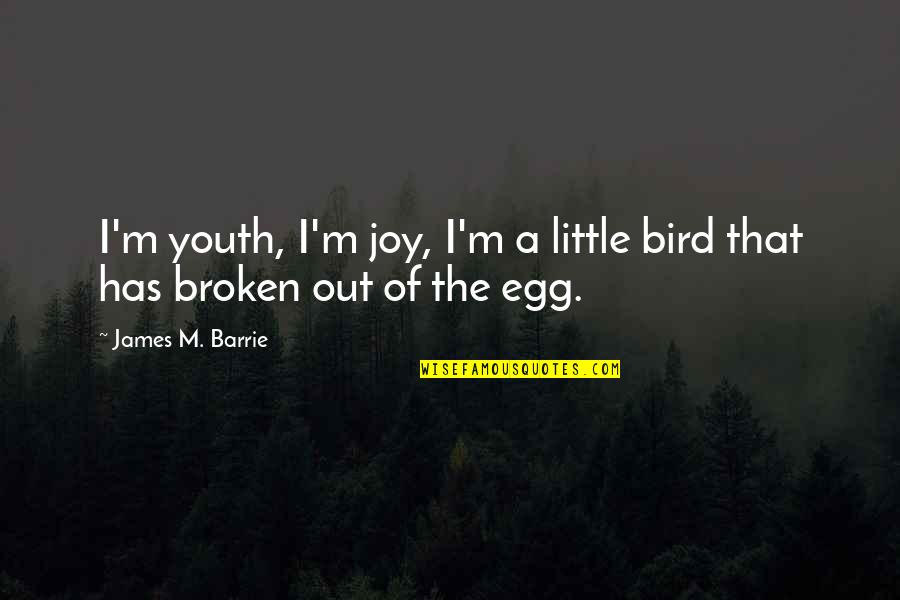 Little Bird Quotes By James M. Barrie: I'm youth, I'm joy, I'm a little bird