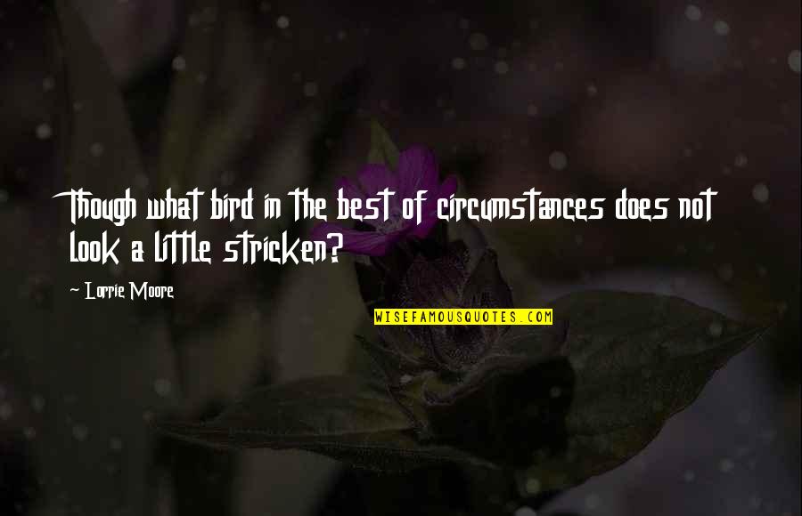 Little Bird Quotes By Lorrie Moore: Though what bird in the best of circumstances