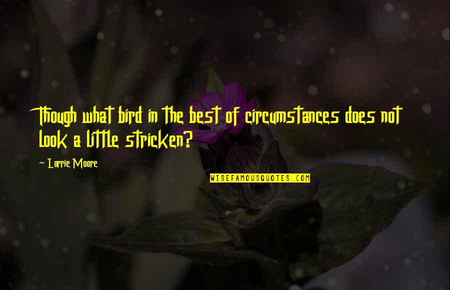 Little Birds Quotes By Lorrie Moore: Though what bird in the best of circumstances