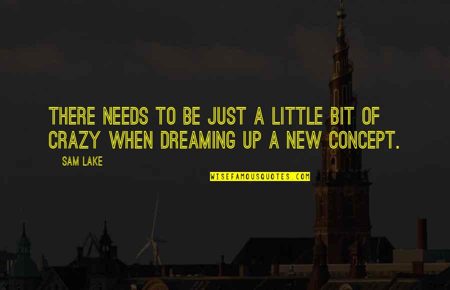 Little Bit Crazy Quotes By Sam Lake: There needs to be just a little bit