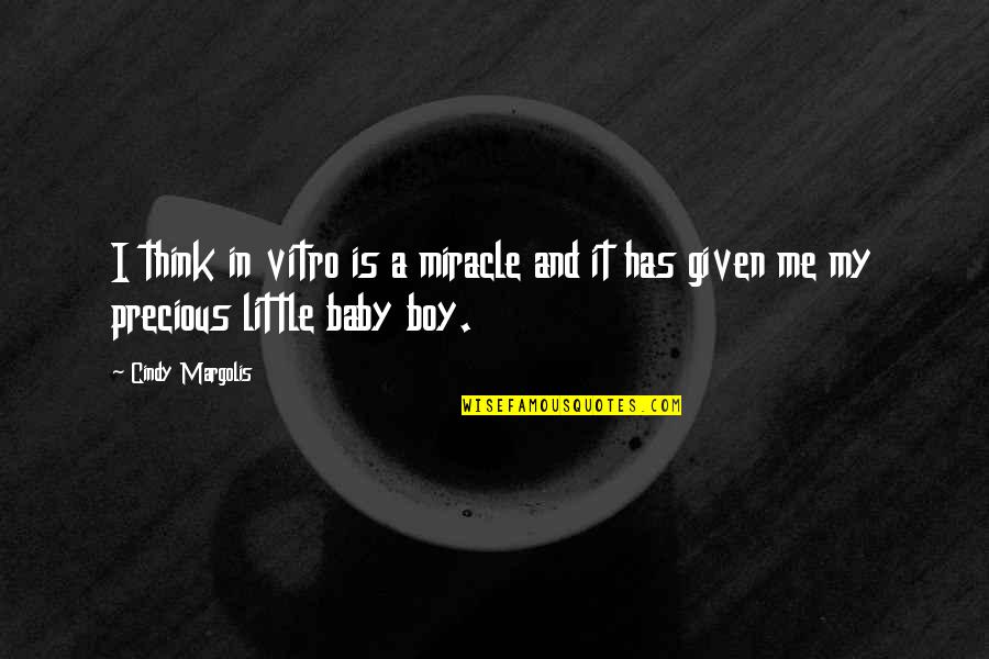 Little Boy Quotes By Cindy Margolis: I think in vitro is a miracle and