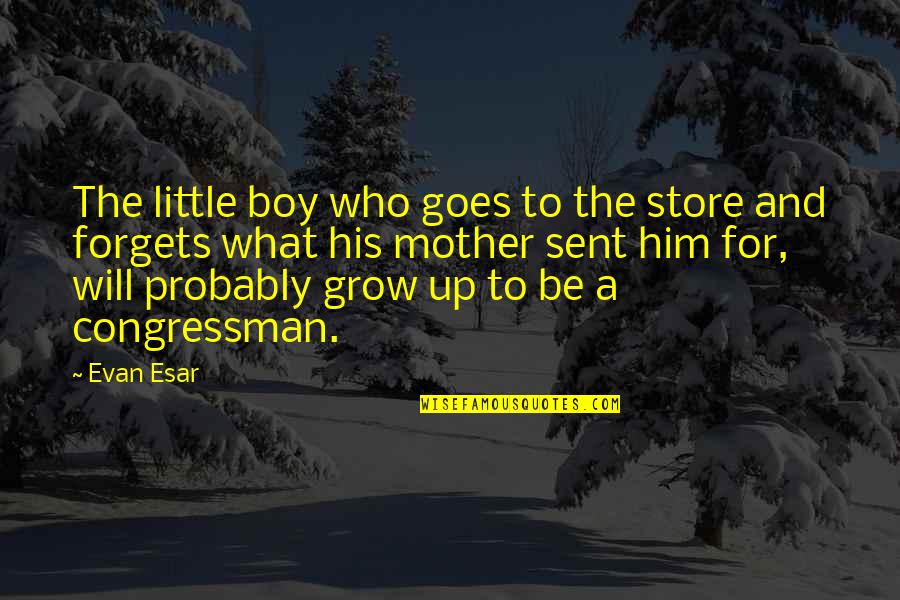Little Boy Quotes By Evan Esar: The little boy who goes to the store Little Boy Quotes By Evan Esar: The little boy who goes to the store