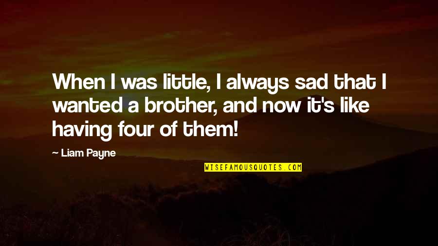 Little Brother Quotes By Liam Payne: When I was little, I always sad that