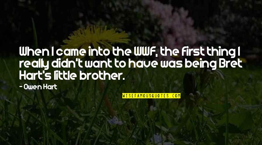 Little Brother Quotes By Owen Hart: When I came into the WWF, the first Little Brother Quotes By Owen Hart: When I came into the WWF, the first