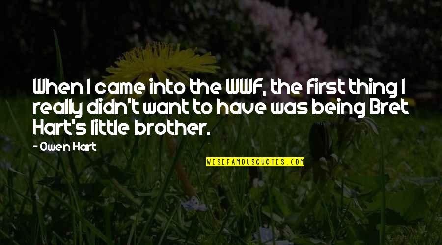 Little Brother Quotes By Owen Hart: When I came into the WWF, the first