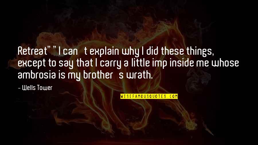 Little Brother Quotes By Wells Tower: Retreat""I can't explain why I did these things,