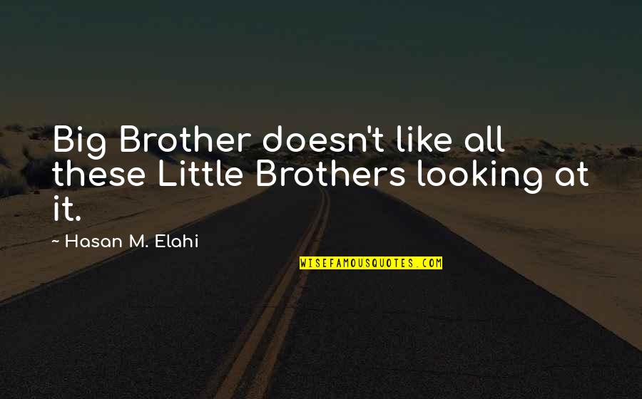 Little Brothers From A Big Brother Quotes By Hasan M. Elahi: Big Brother doesn't like all these Little Brothers Little Brothers From A Big Brother Quotes By Hasan M. Elahi: Big Brother doesn't like all these Little Brothers