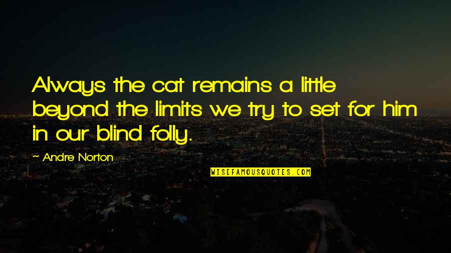 Little Cat Quotes By Andre Norton: Always the cat remains a little beyond the Little Cat Quotes By Andre Norton: Always the cat remains a little beyond the