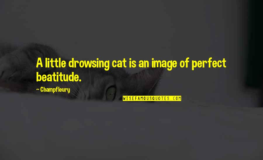 Little Cat Quotes By Champfleury: A little drowsing cat is an image of Little Cat Quotes By Champfleury: A little drowsing cat is an image of