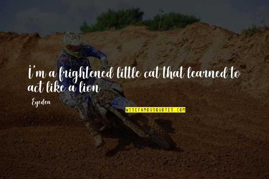 Little Cat Quotes By Eyedea: I'm a frightened little cat that learned to