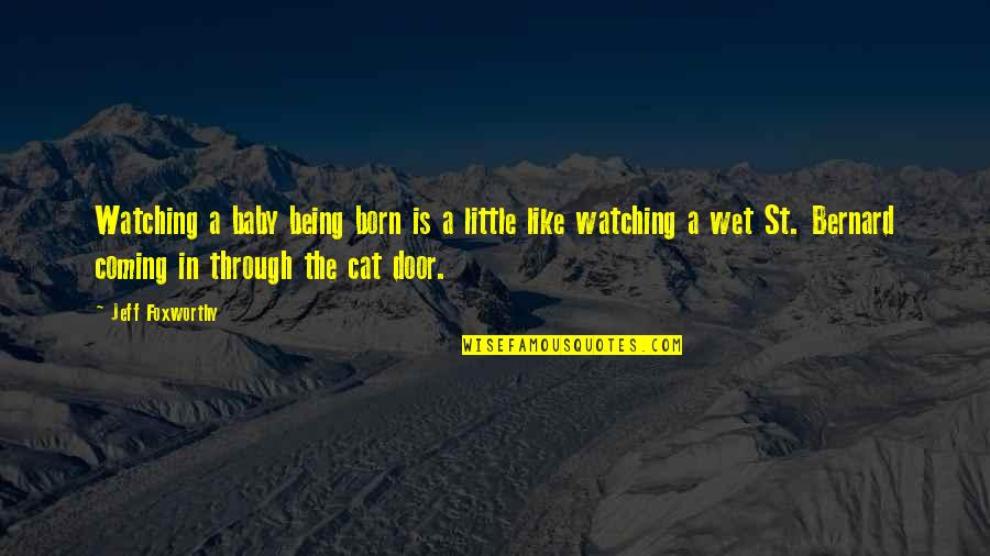 Little Cat Quotes By Jeff Foxworthy: Watching a baby being born is a little Little Cat Quotes By Jeff Foxworthy: Watching a baby being born is a little