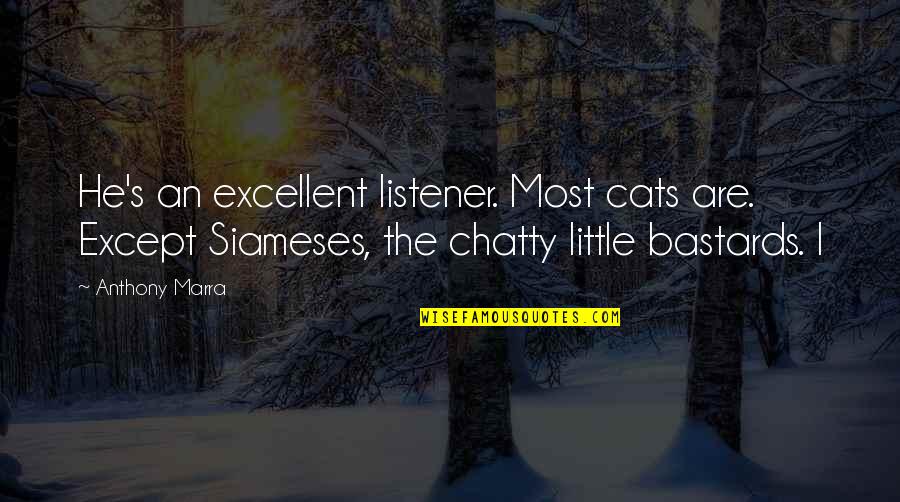 Little Cats Quotes By Anthony Marra: He's an excellent listener. Most cats are. Except