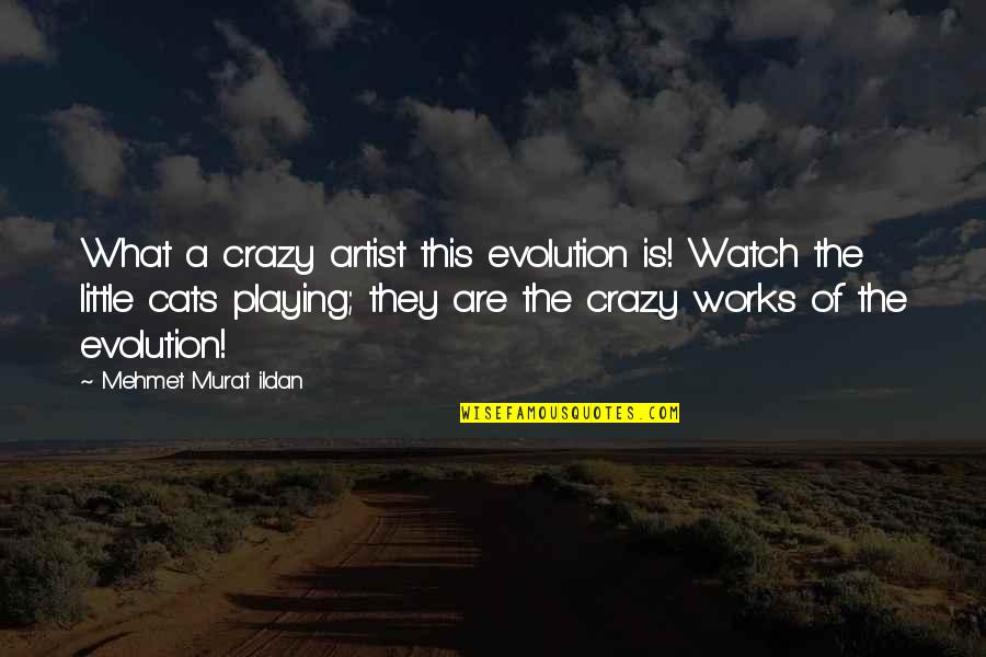 Little Cats Quotes By Mehmet Murat Ildan: What a crazy artist this evolution is! Watch