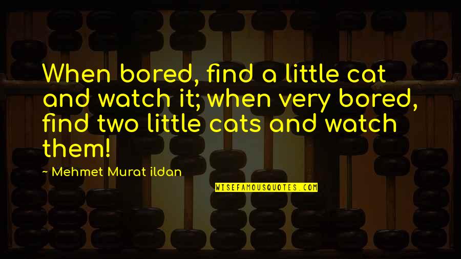 Little Cats Quotes By Mehmet Murat Ildan: When bored, find a little cat and watch