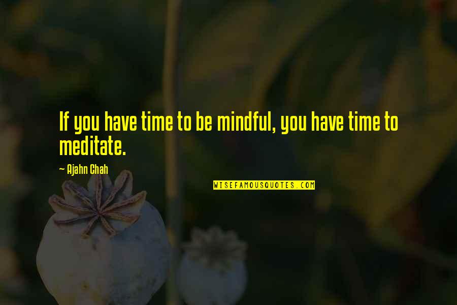 Little Diva Quotes By Ajahn Chah: If you have time to be mindful, you