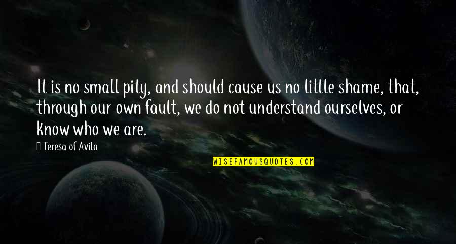 Little Do They Know Quotes By Teresa Of Avila: It is no small pity, and should cause