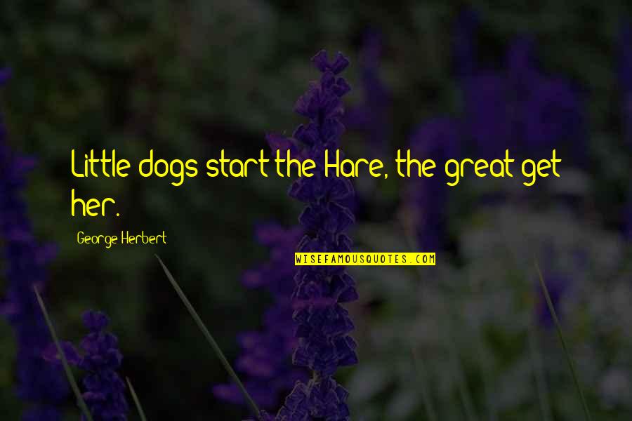 Little Dogs Quotes By George Herbert: Little dogs start the Hare, the great get