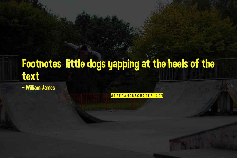 Little Dogs Quotes By William James: Footnotes little dogs yapping at the heels of
