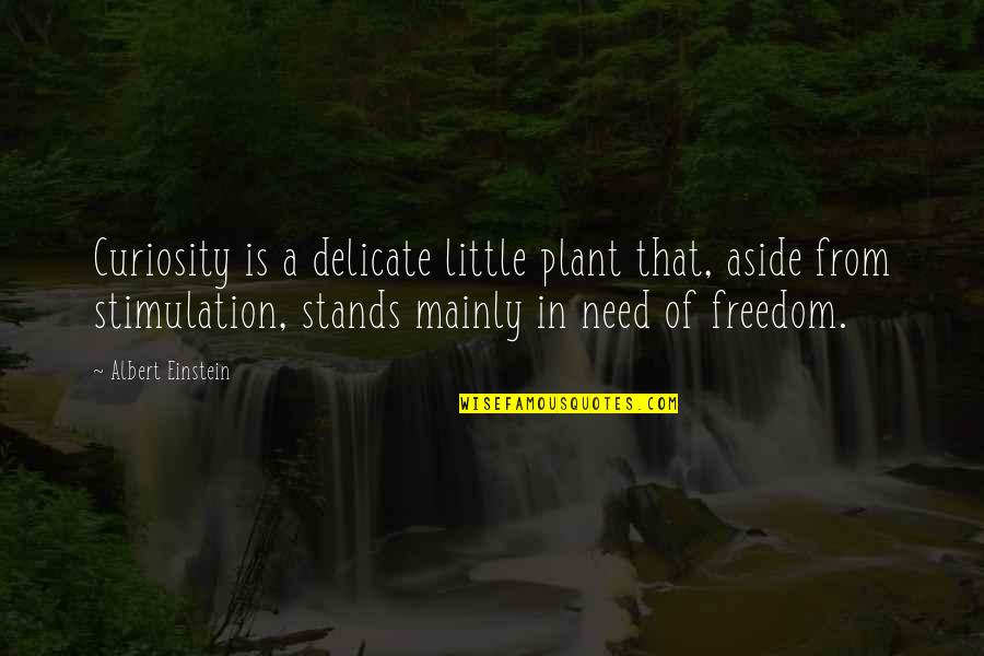 Little Einstein Quotes By Albert Einstein: Curiosity is a delicate little plant that, aside