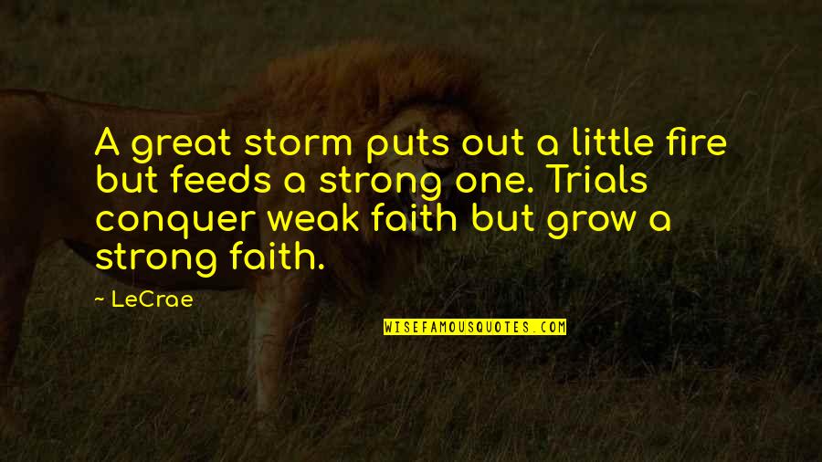 Little Faith Quotes By LeCrae: A great storm puts out a little fire