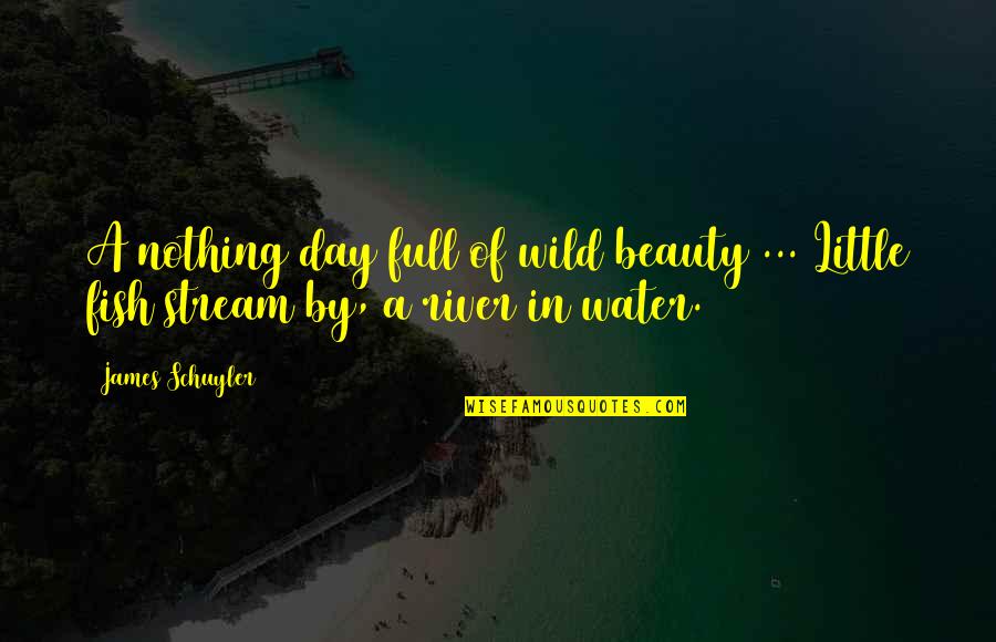 Little Fish Quotes By James Schuyler: A nothing day full of wild beauty ...