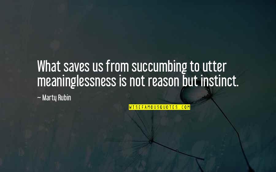 Little Fockers Quotes By Marty Rubin: What saves us from succumbing to utter meaninglessness