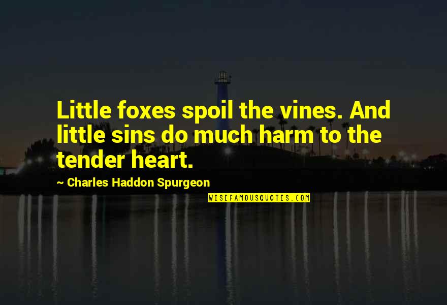 Little Foxes Quotes By Charles Haddon Spurgeon: Little foxes spoil the vines. And little sins Little Foxes Quotes By Charles Haddon Spurgeon: Little foxes spoil the vines. And little sins