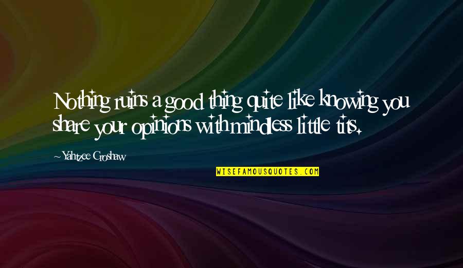 Little Funny Quotes By Yahtzee Croshaw: Nothing ruins a good thing quite like knowing Little Funny Quotes By Yahtzee Croshaw: Nothing ruins a good thing quite like knowing