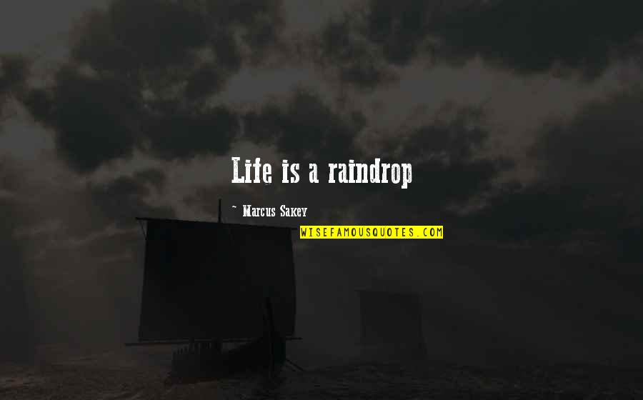 Little Girl Niece Quotes By Marcus Sakey: Life is a raindrop