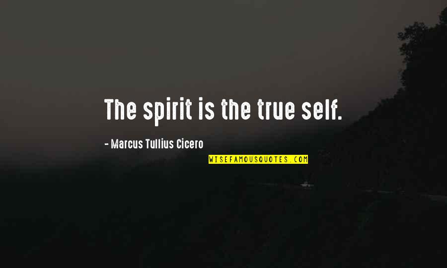 Little Girl Swag Quotes By Marcus Tullius Cicero: The spirit is the true self.