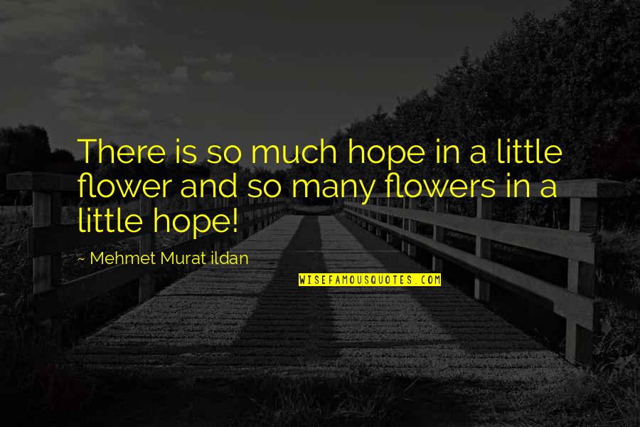 Little Hope Quotes By Mehmet Murat Ildan: There is so much hope in a little Little Hope Quotes By Mehmet Murat Ildan: There is so much hope in a little