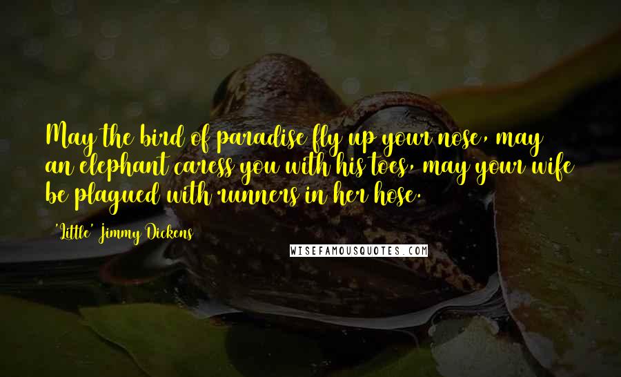 'Little' Jimmy Dickens quotes: May the bird of paradise fly up your nose, may an elephant caress you with his toes, may your wife be plagued with runners in her hose.