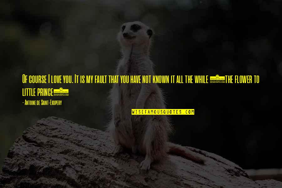 Little Known Love Quotes By Antoine De Saint-Exupery: Of course I love you. It is my