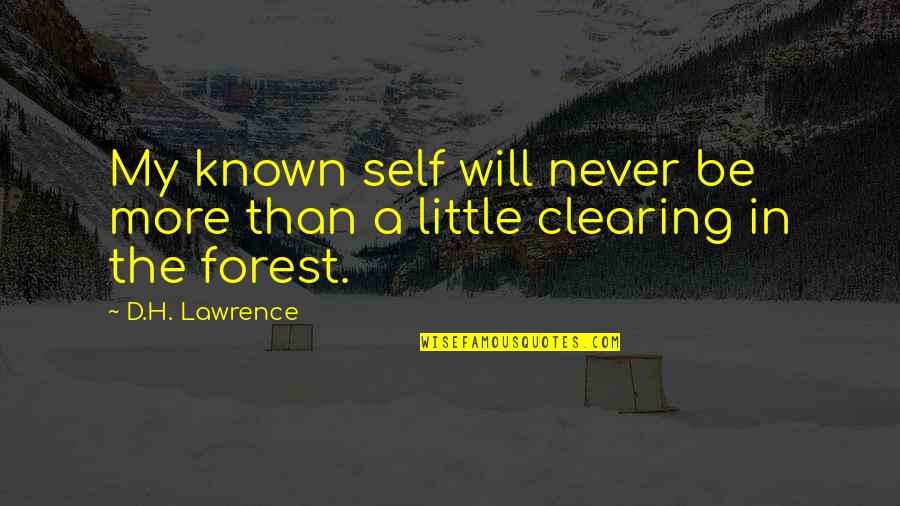 Little Known Quotes By D.H. Lawrence: My known self will never be more than