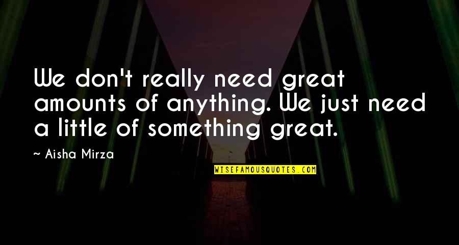 Little Life Quotes By Aisha Mirza: We don't really need great amounts of anything.