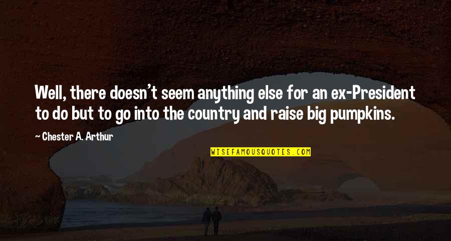 Little Miss Sunshine Dwayne Quotes By Chester A. Arthur: Well, there doesn't seem anything else for an Little Miss Sunshine Dwayne Quotes By Chester A. Arthur: Well, there doesn't seem anything else for an