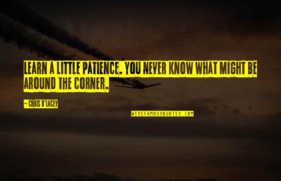 Little More Patience Quotes By Chris D'Lacey: Learn a little patience. You never know what