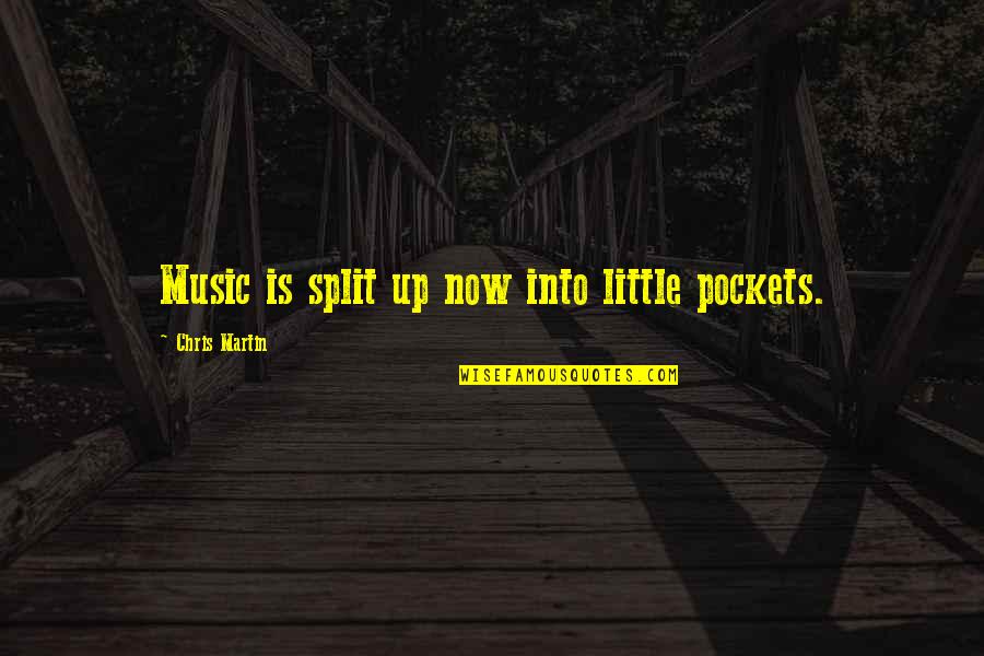 Little Music Quotes By Chris Martin: Music is split up now into little pockets.