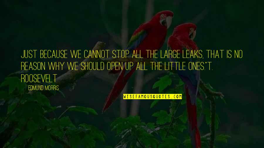 Little Ones Quotes By Edmund Morris: Just because we cannot stop all the large