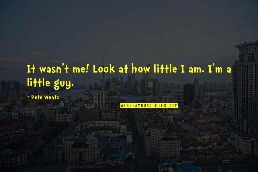 Little Pete Quotes By Pete Wentz: It wasn't me! Look at how little I