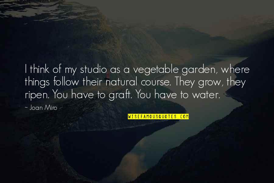 Little Pleasures In Life Quotes By Joan Miro: I think of my studio as a vegetable