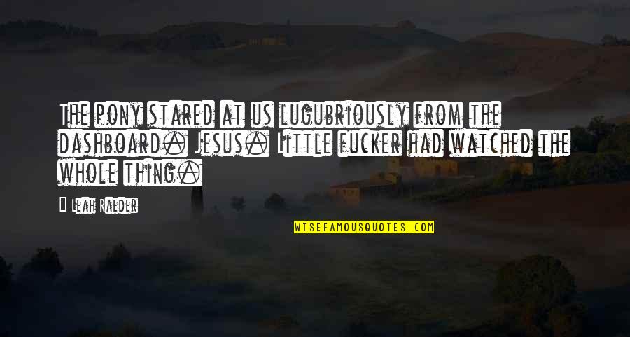 Little Pony Quotes By Leah Raeder: The pony stared at us lugubriously from the