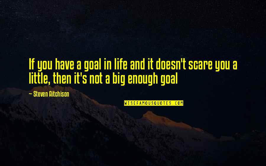 Little Quotes And Quotes By Steven Aitchison: If you have a goal in life and